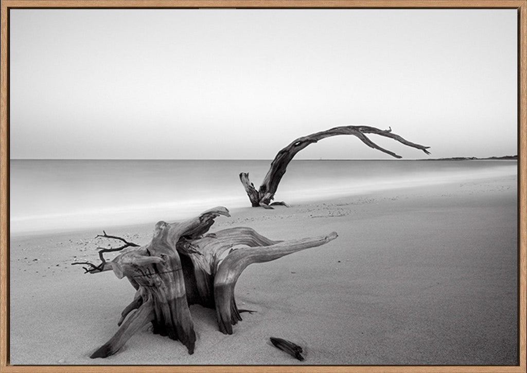 canvas_frame
