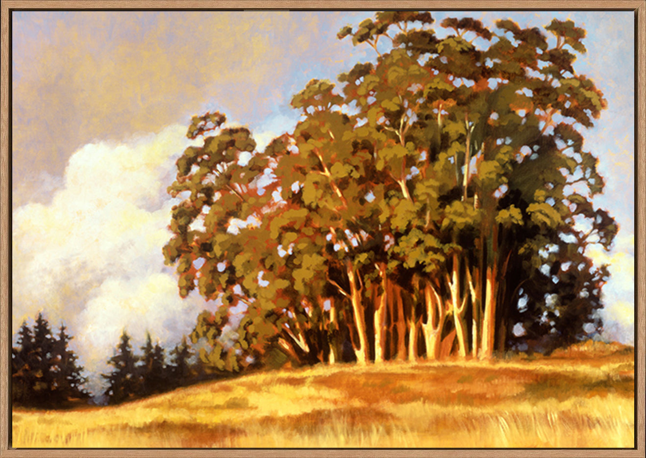 canvas_frame