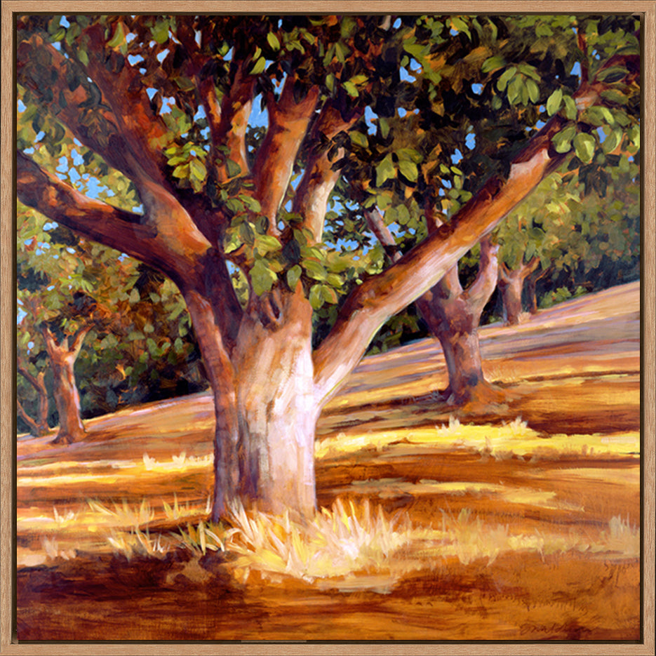canvas_frame
