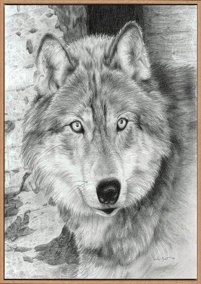 canvas_frame