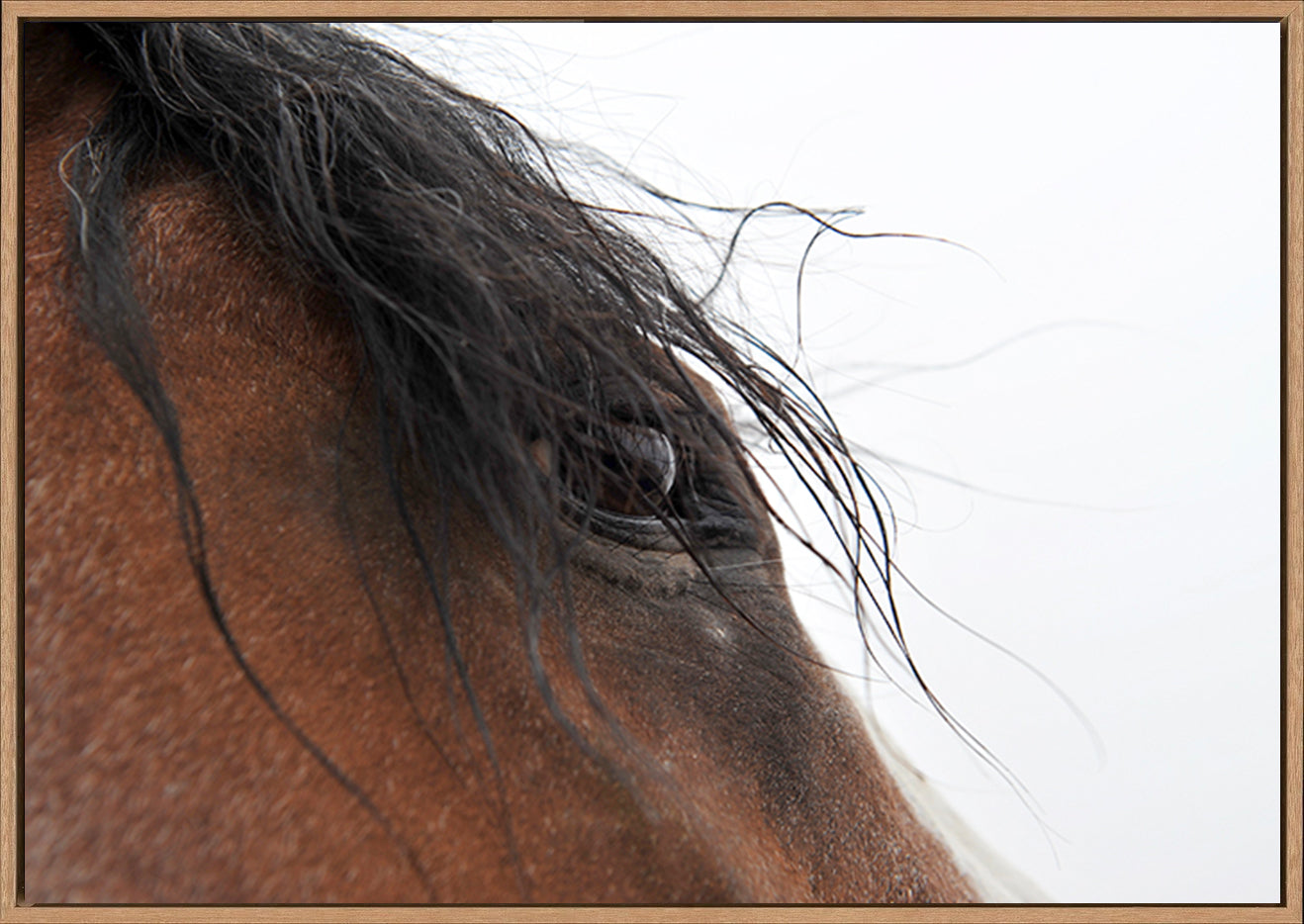 canvas_frame
