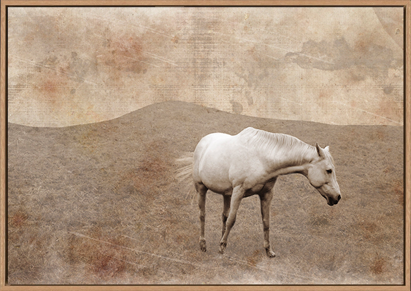 canvas_frame