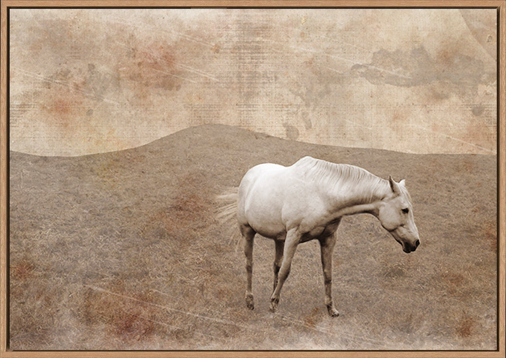 canvas_frame