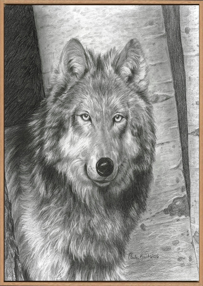 canvas_frame