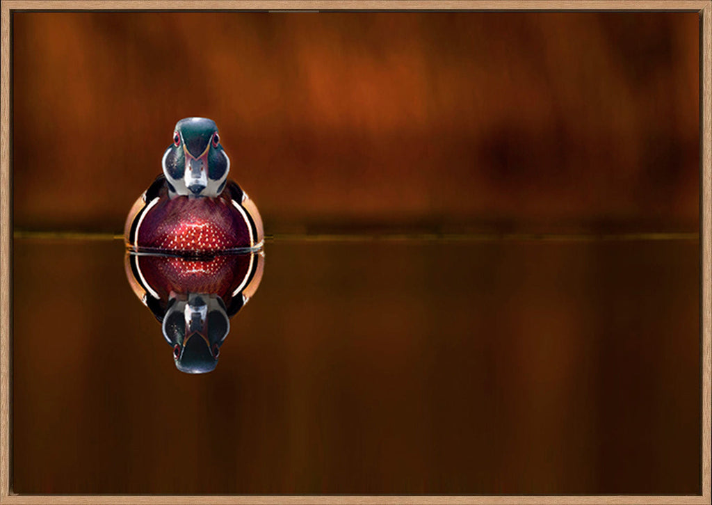 canvas_frame