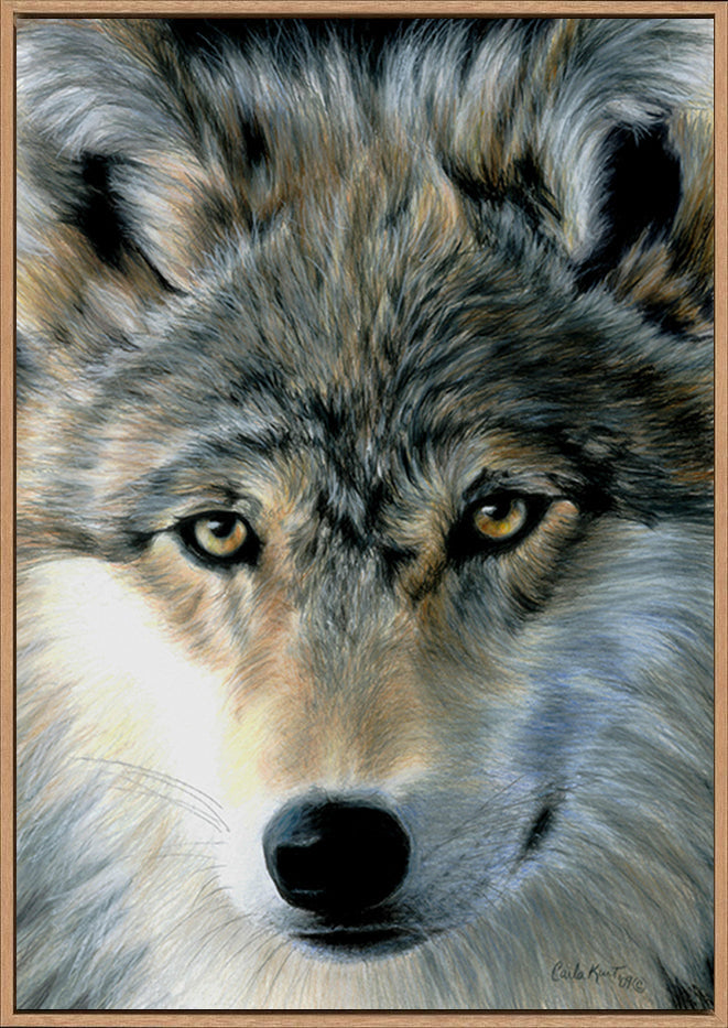 canvas_frame