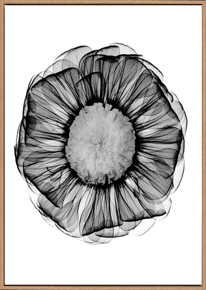 canvas_frame