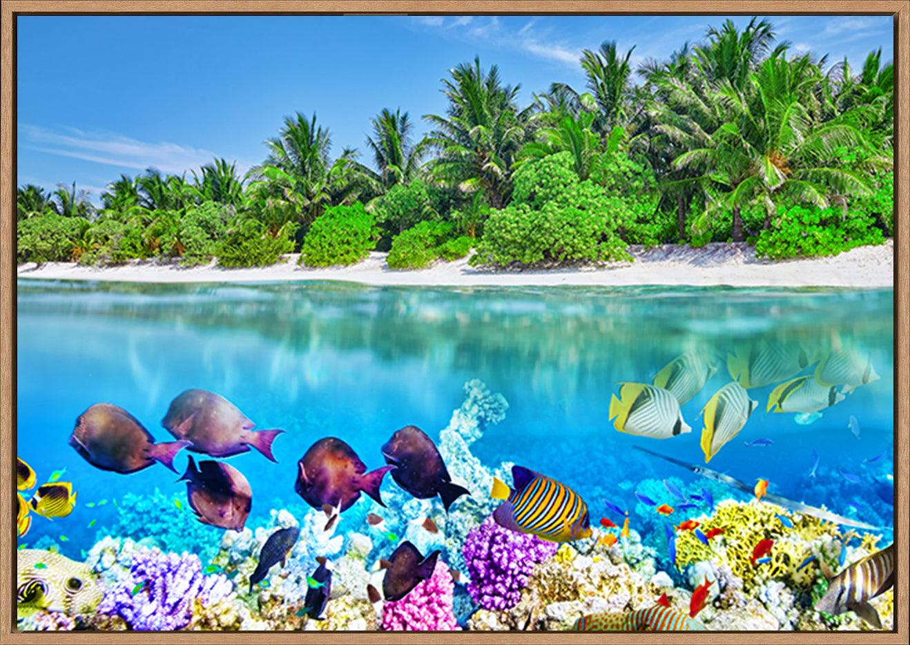 a17842819 Tropical Island And The Underwater World In The Maldives copy. Thoddoo Island - ArtFramed