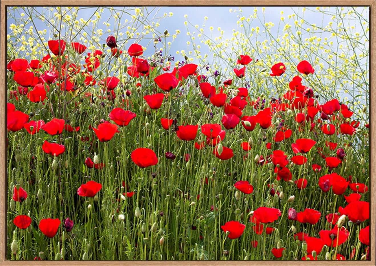 canvas_frame