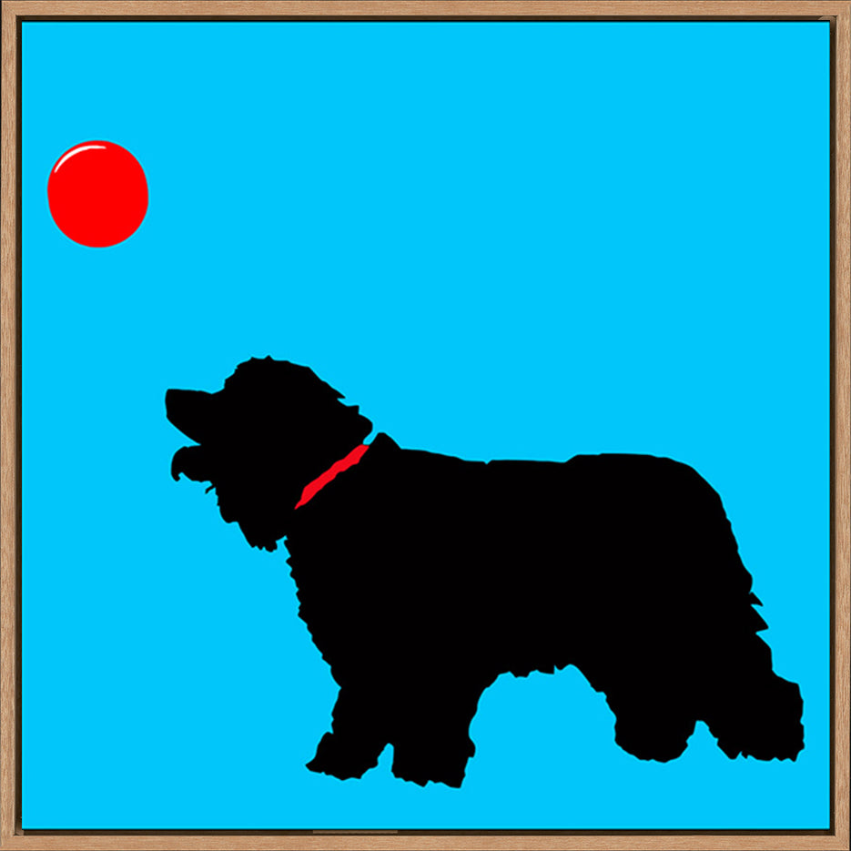 canvas_frame