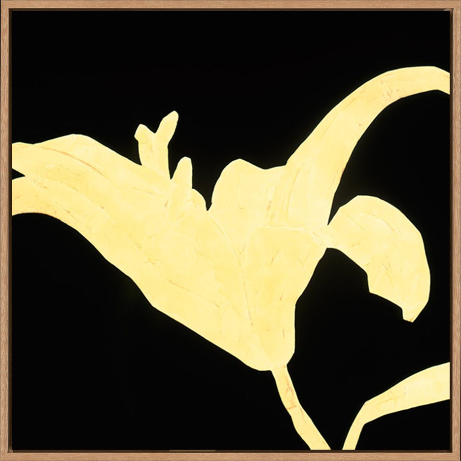 canvas_frame