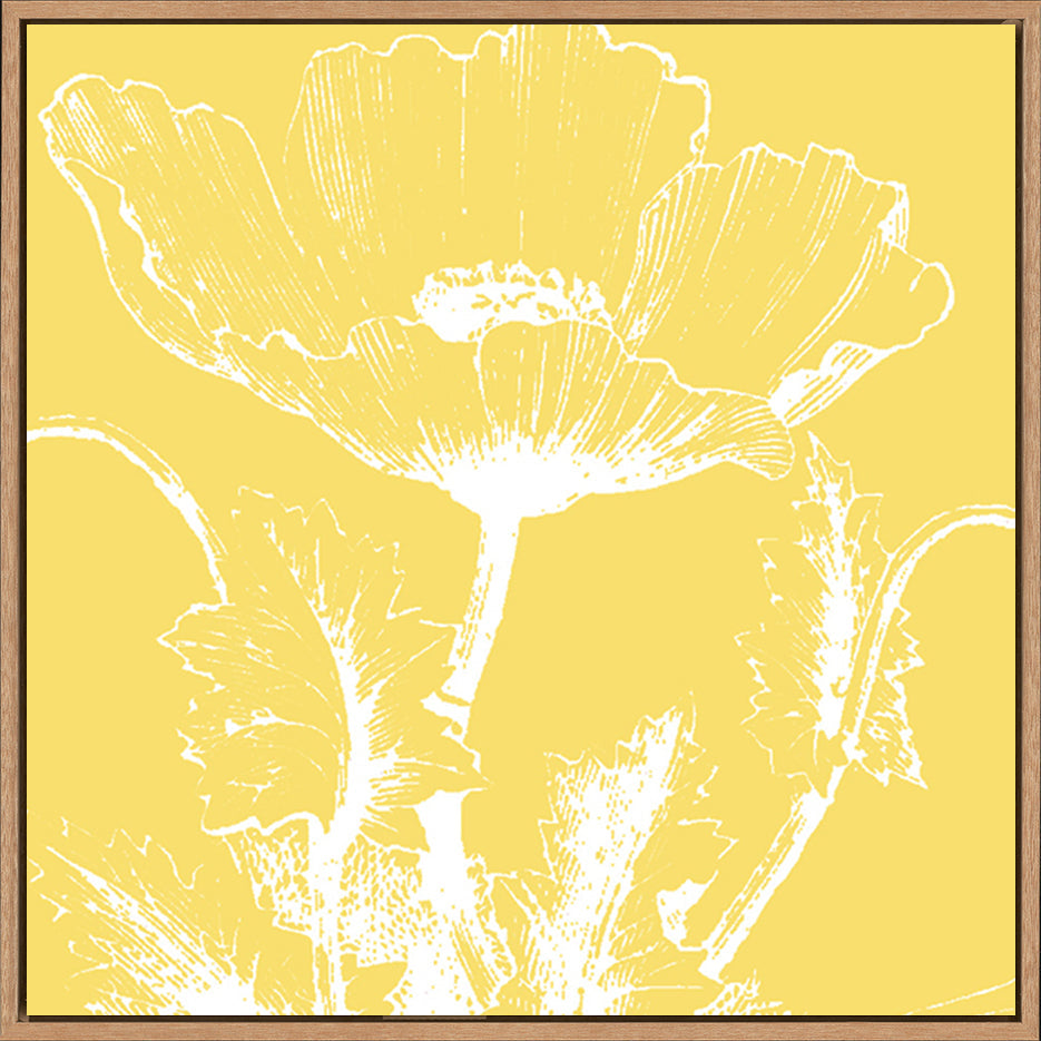 canvas_frame