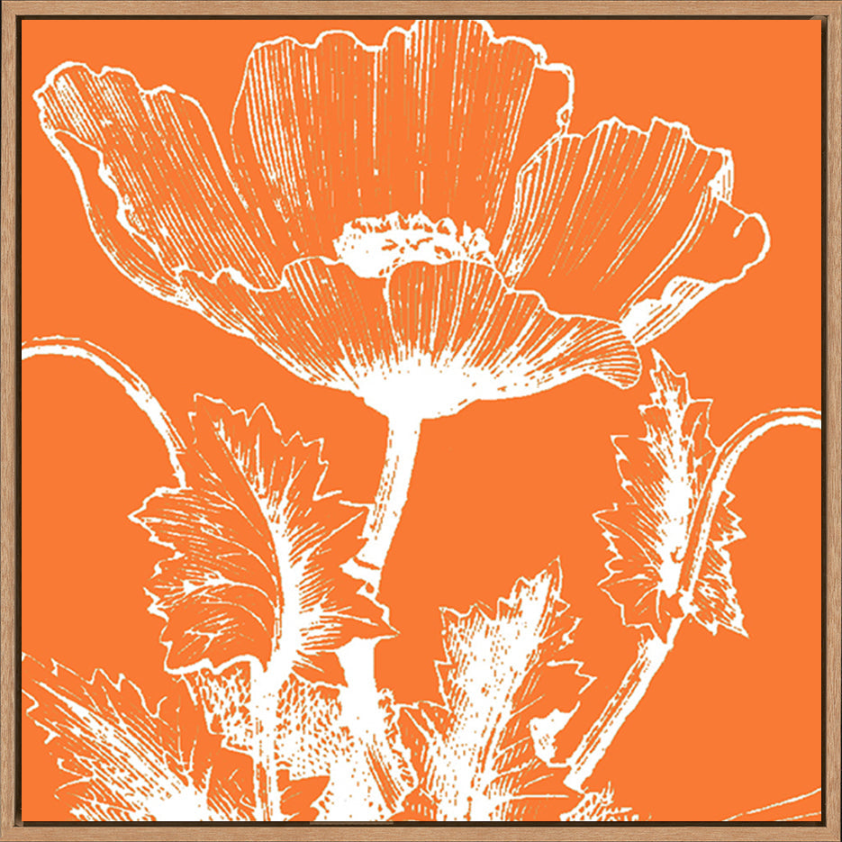 canvas_frame