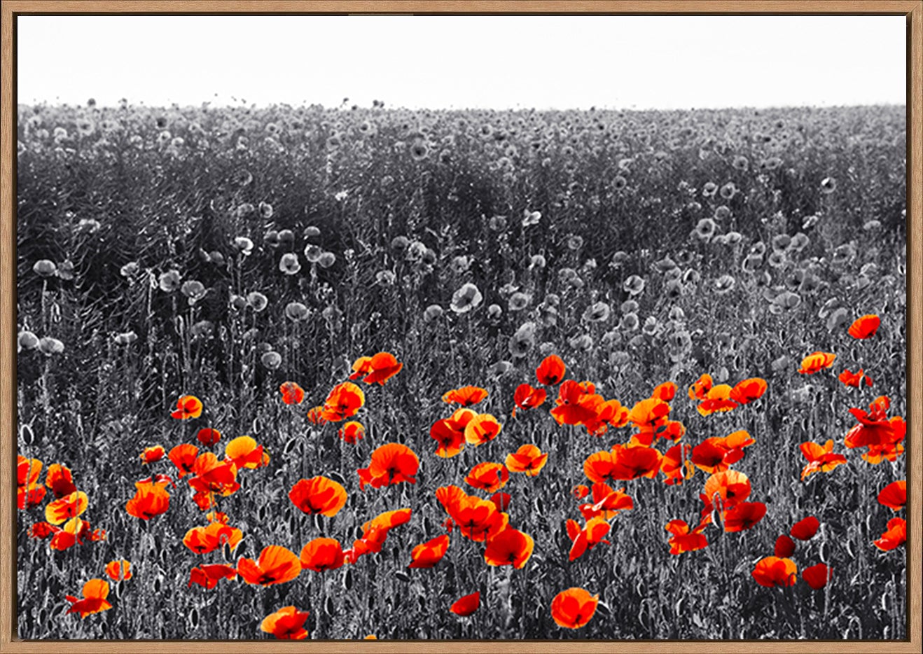 canvas_frame