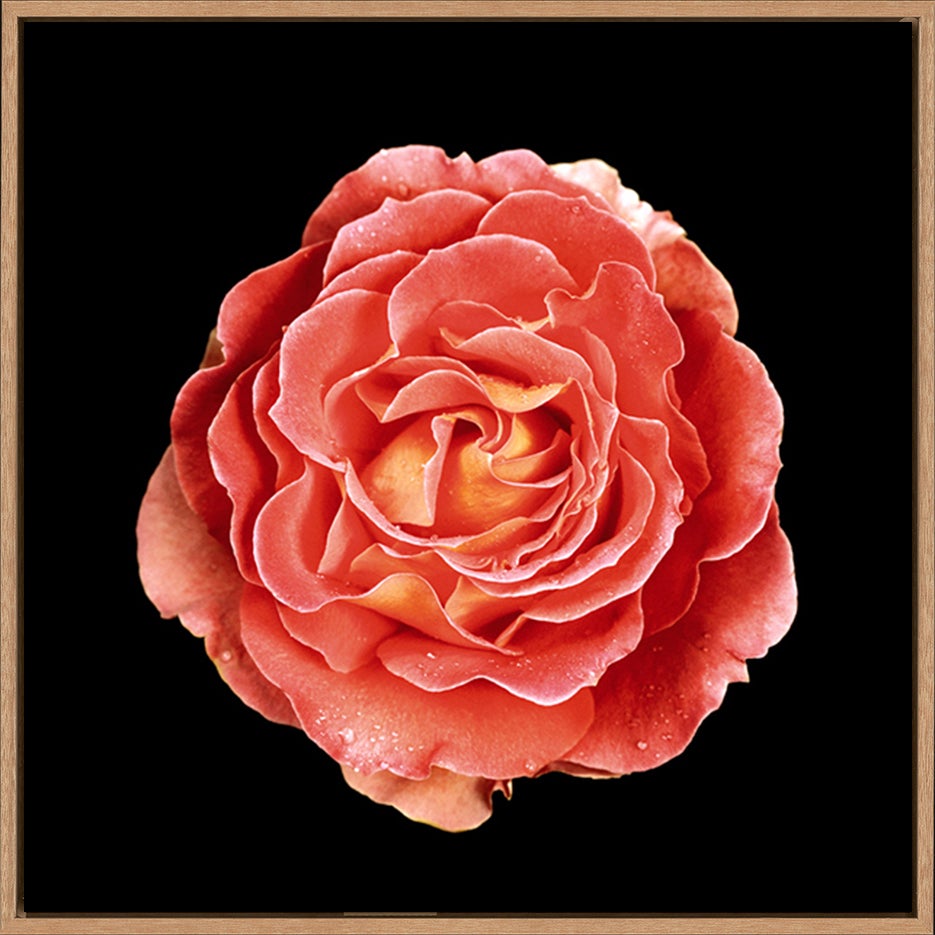 canvas_frame
