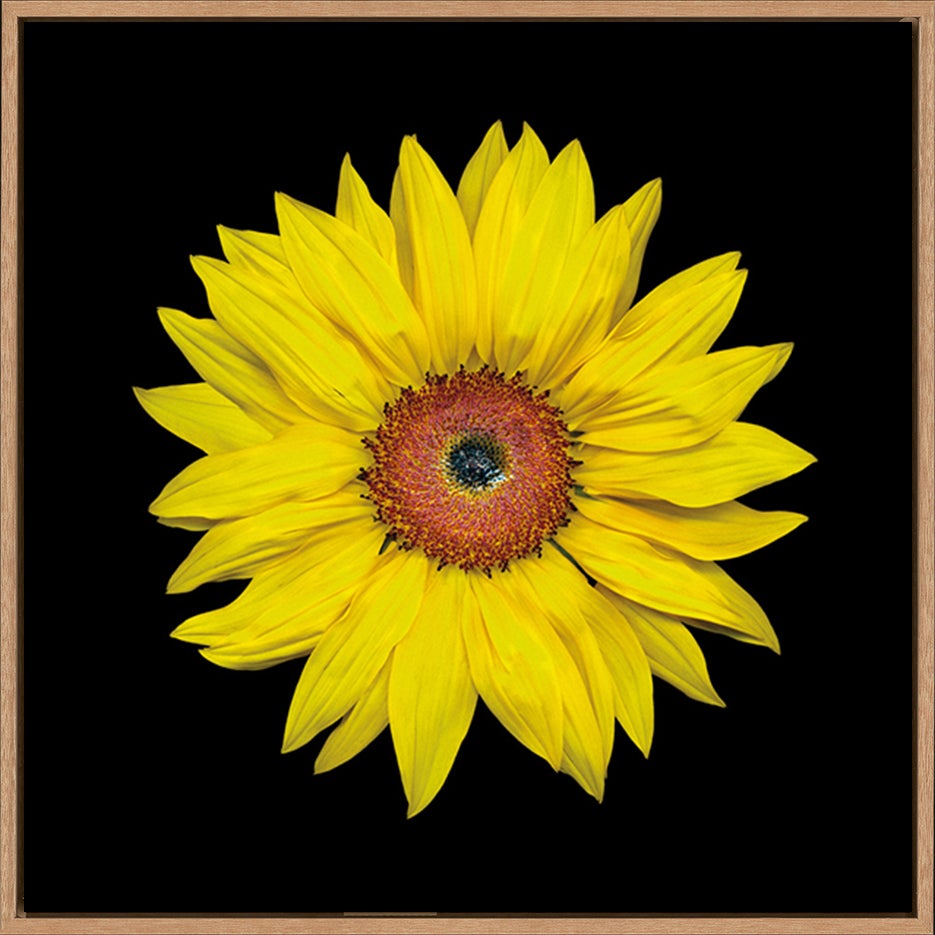 canvas_frame