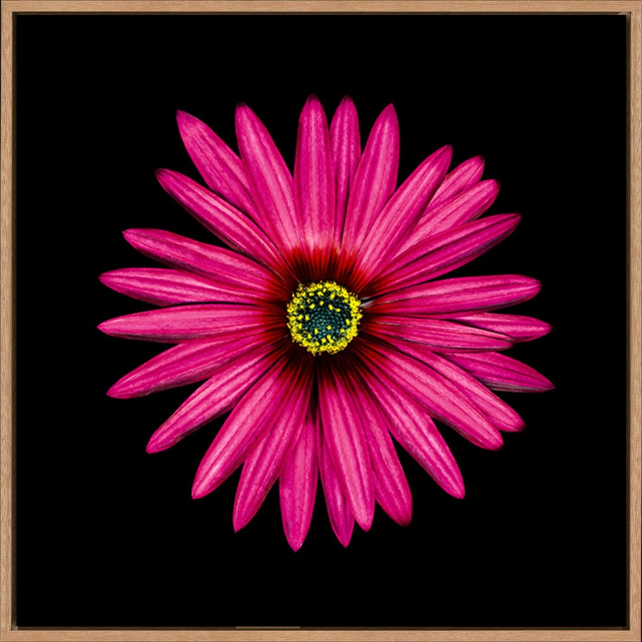 canvas_frame