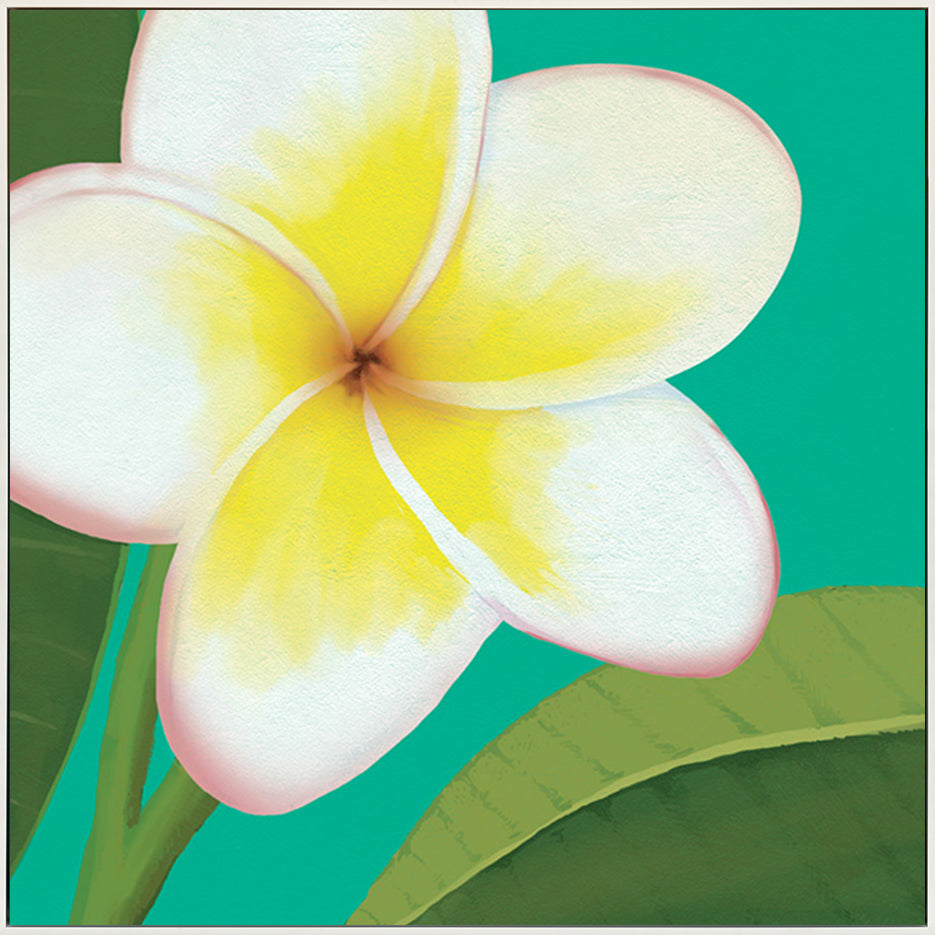 canvas_frame