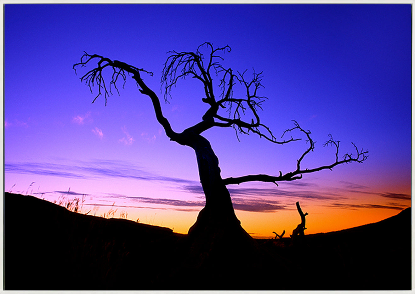 canvas_frame