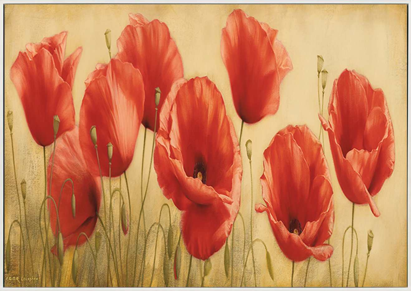 canvas_frame