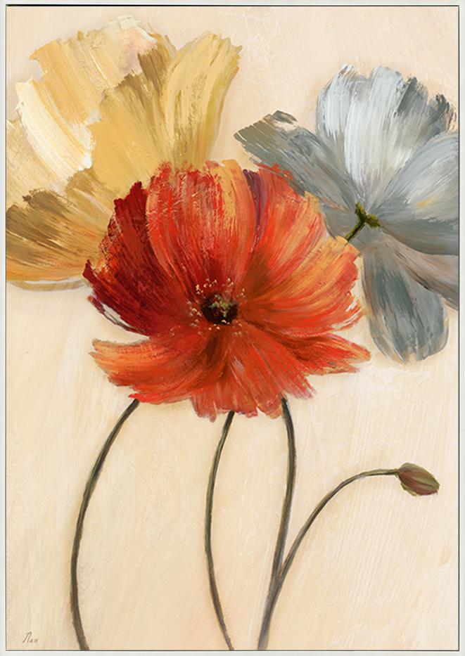 canvas_frame