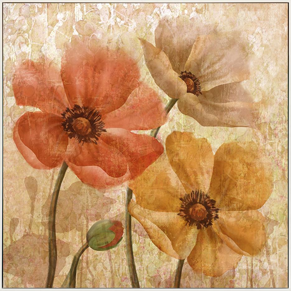 canvas_frame