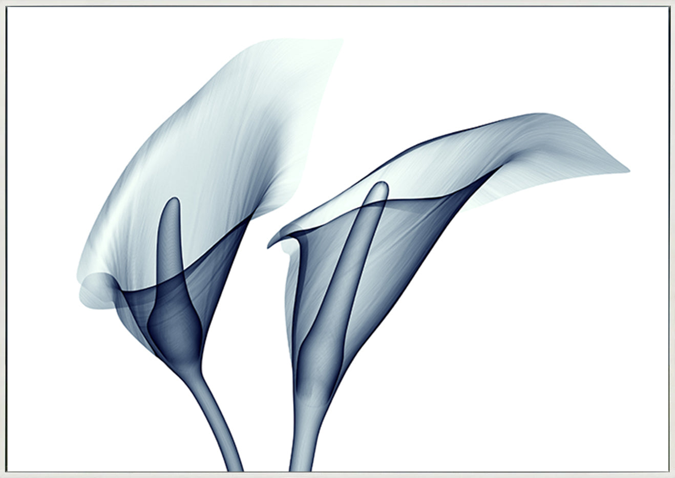 canvas_frame