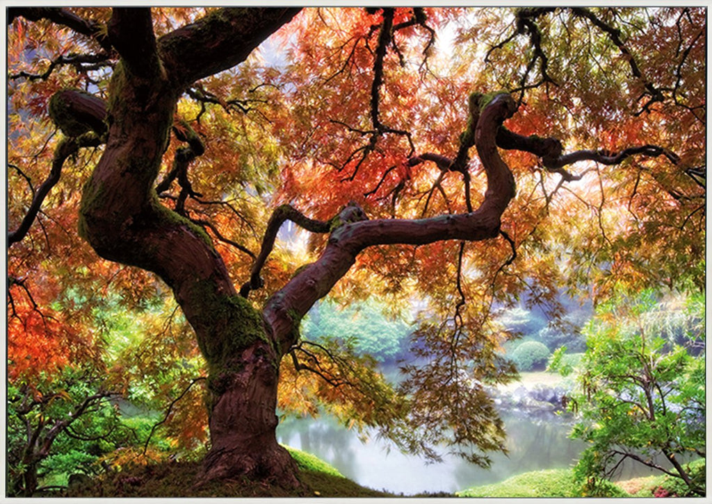 canvas_frame