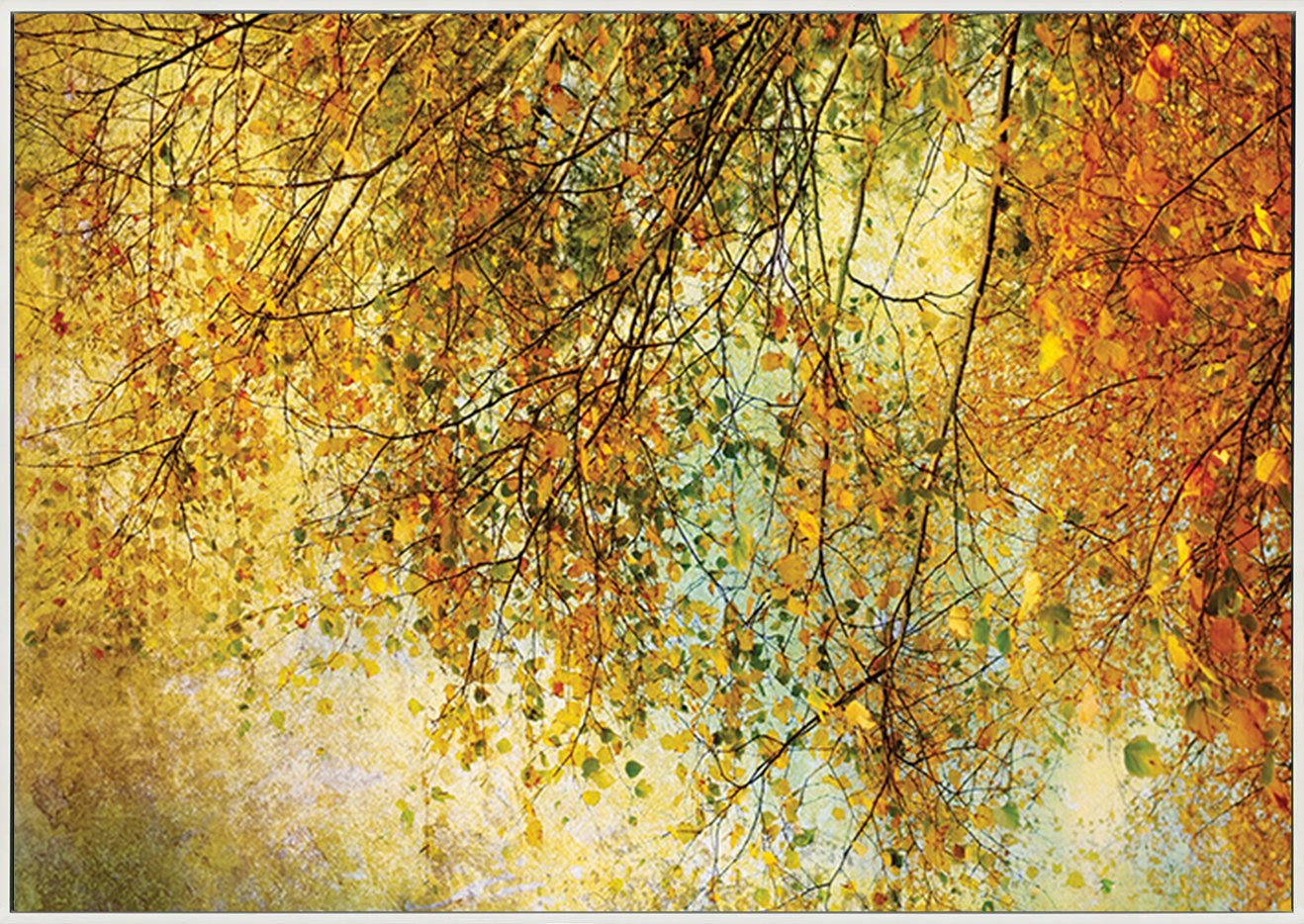 canvas_frame