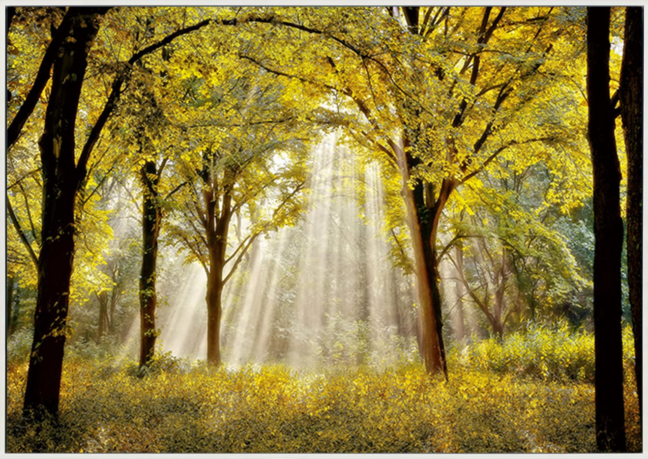 canvas_frame