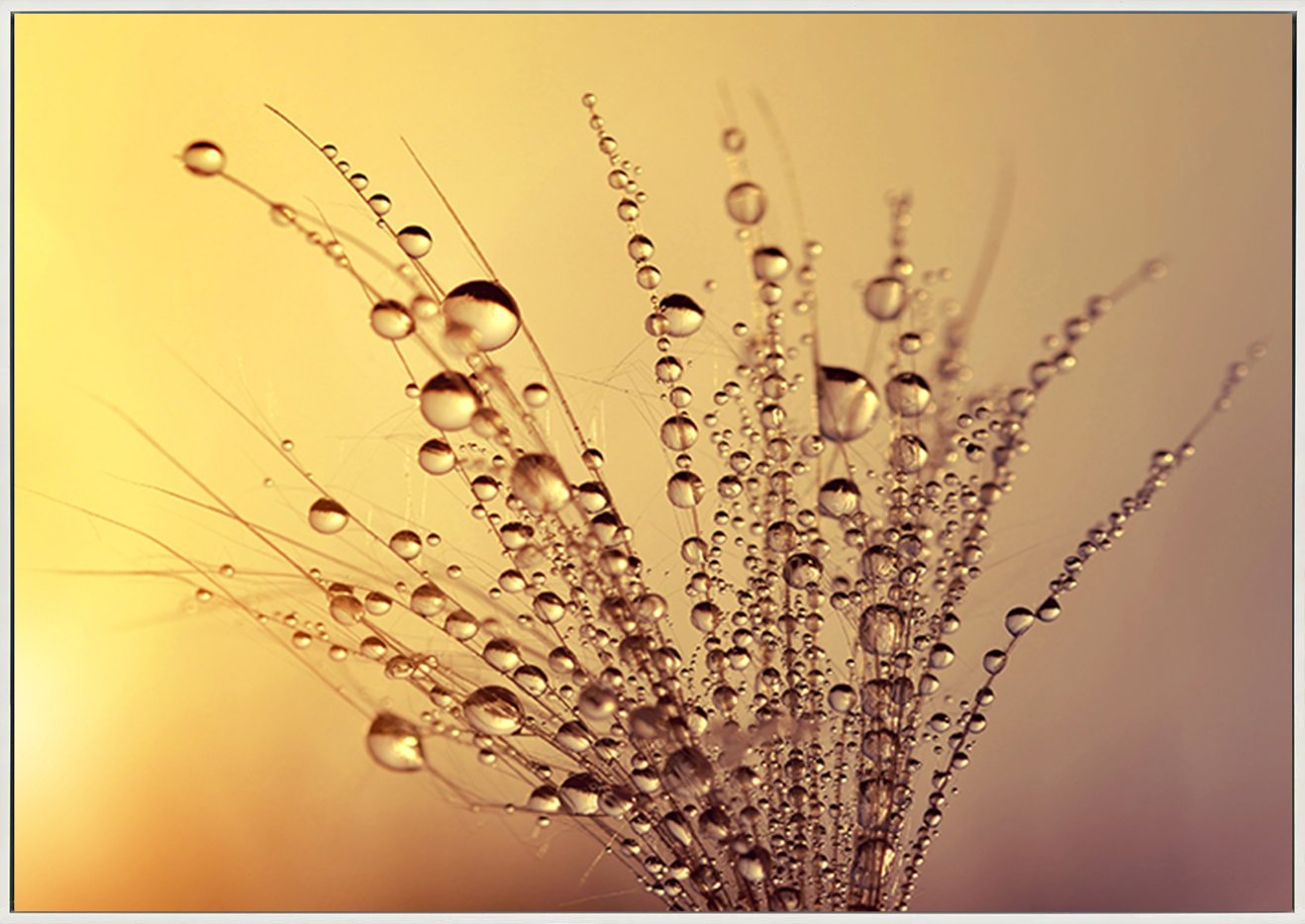 canvas_frame