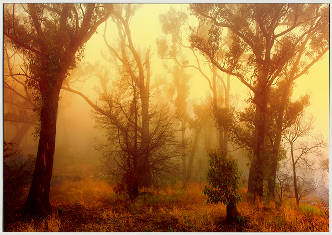 canvas_frame