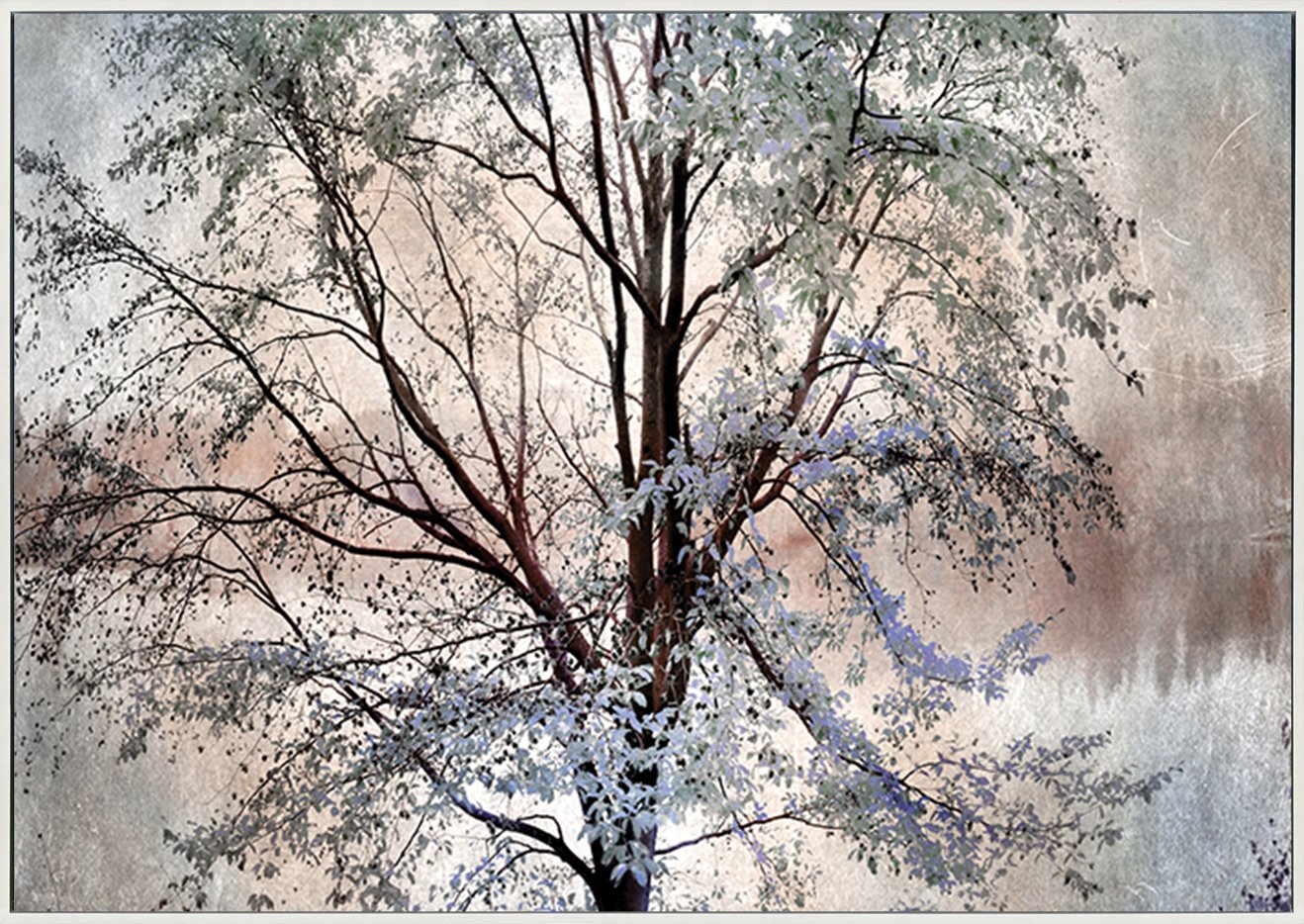 canvas_frame