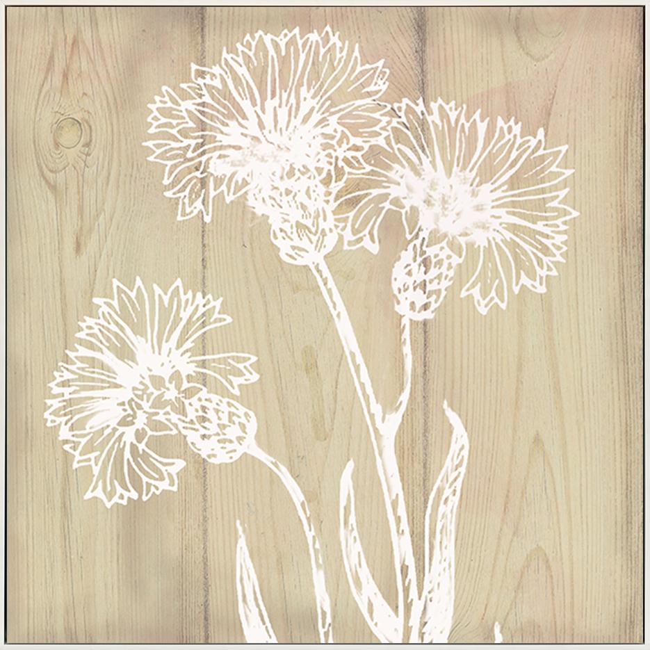 canvas_frame