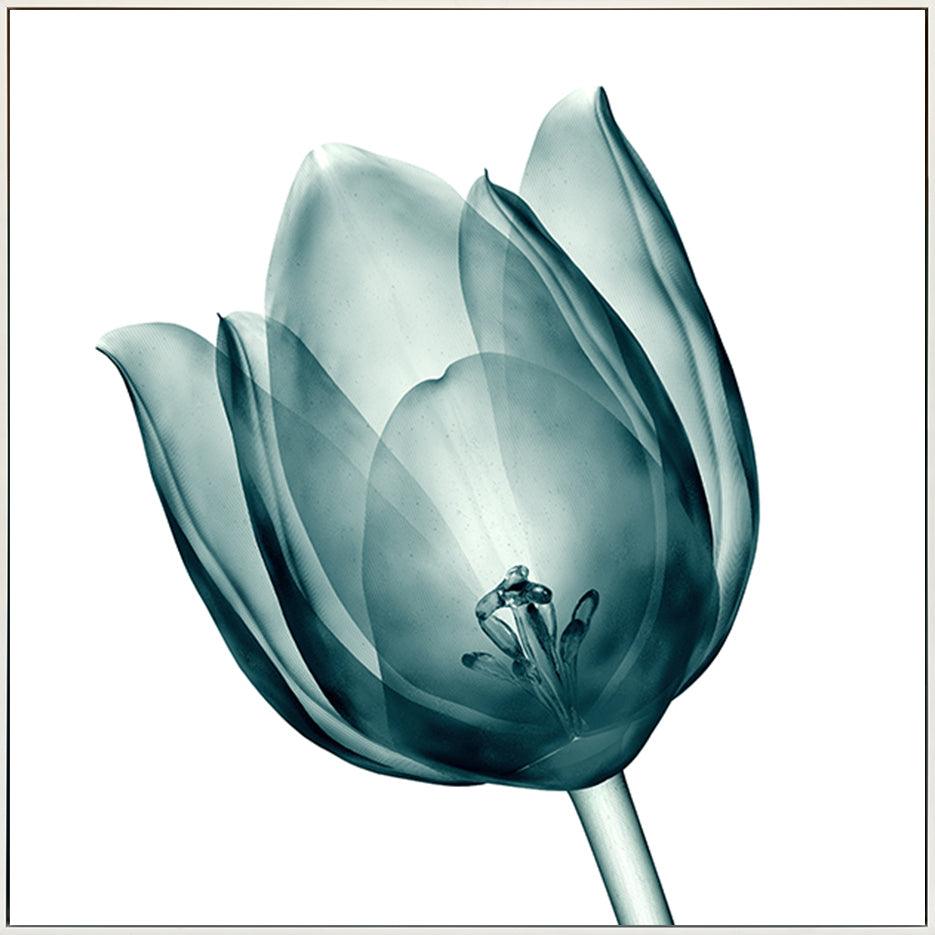 canvas_frame