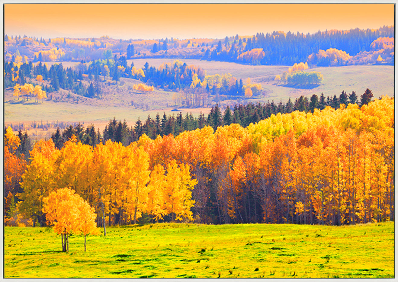 canvas_frame