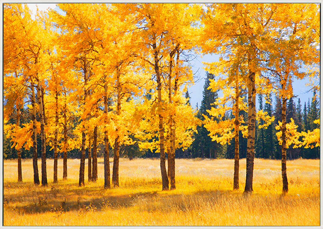 canvas_frame