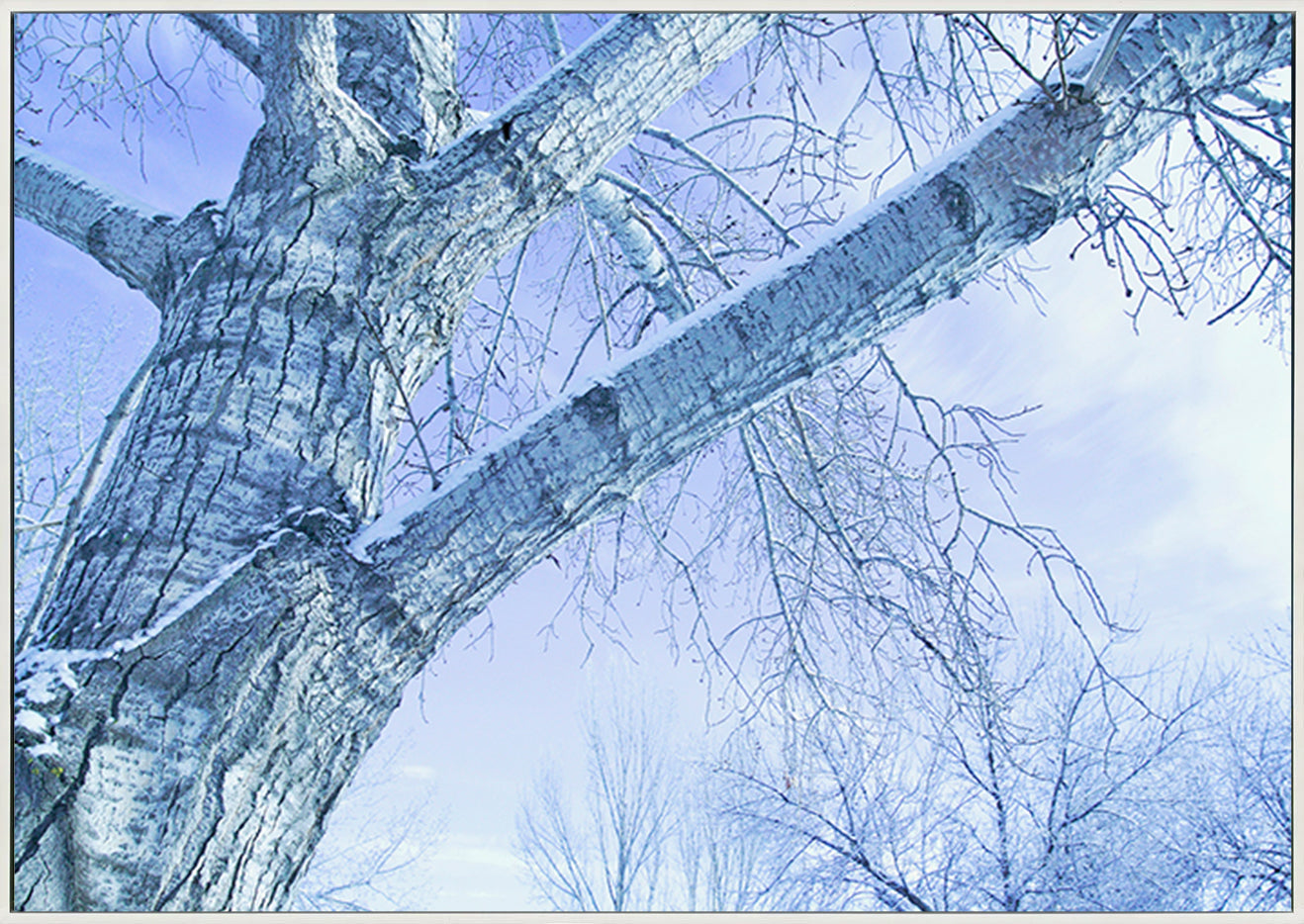canvas_frame