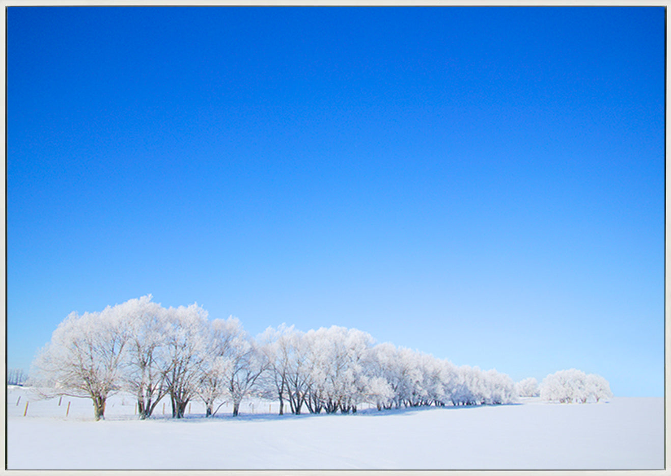 canvas_frame