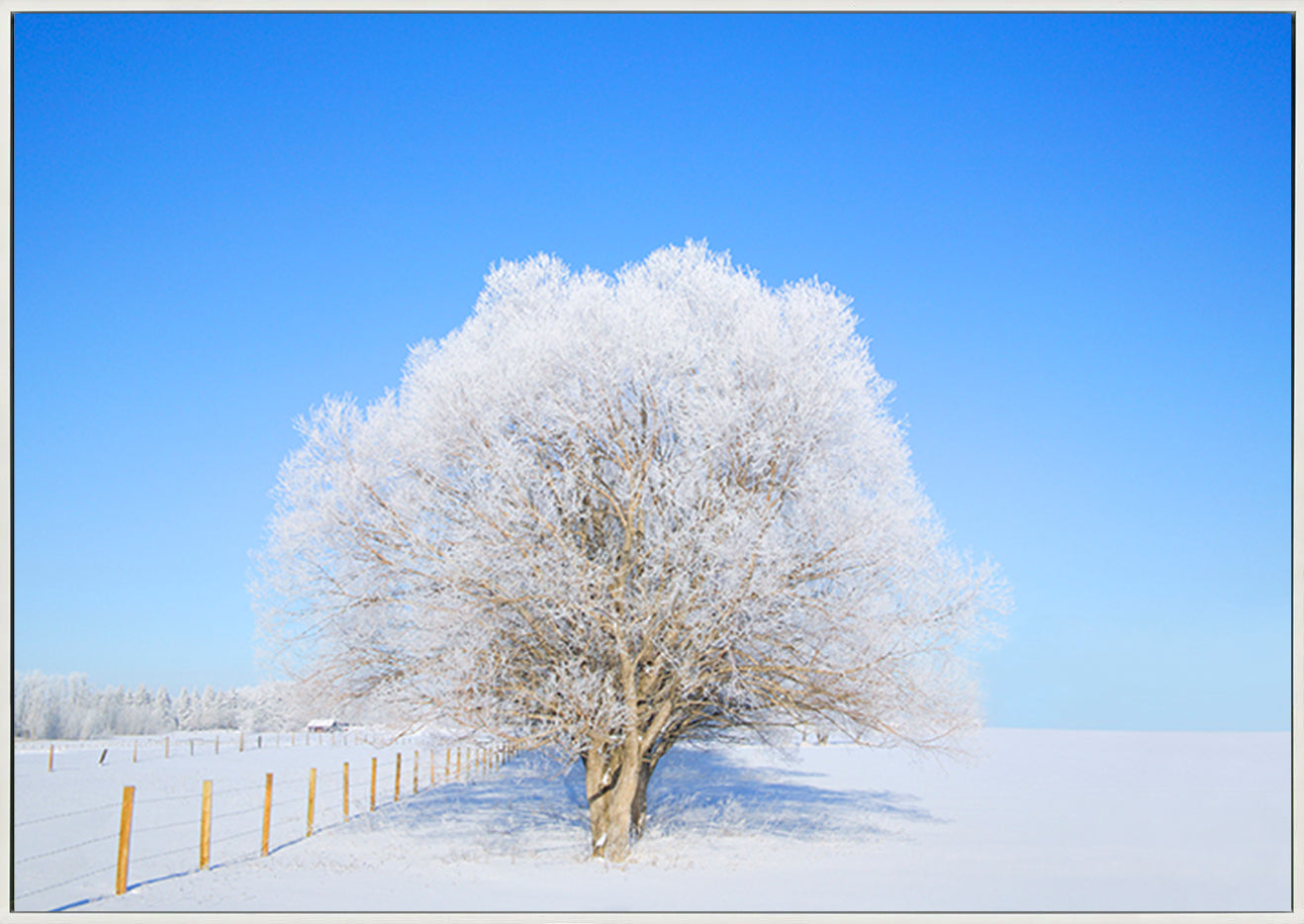 canvas_frame