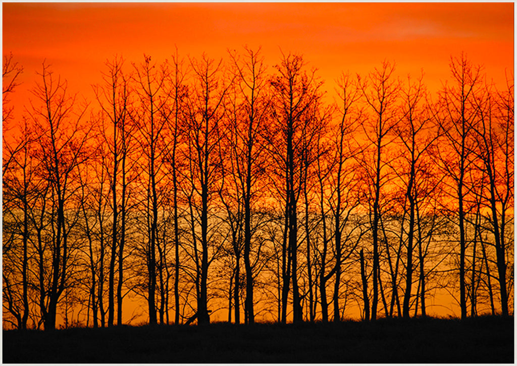 canvas_frame