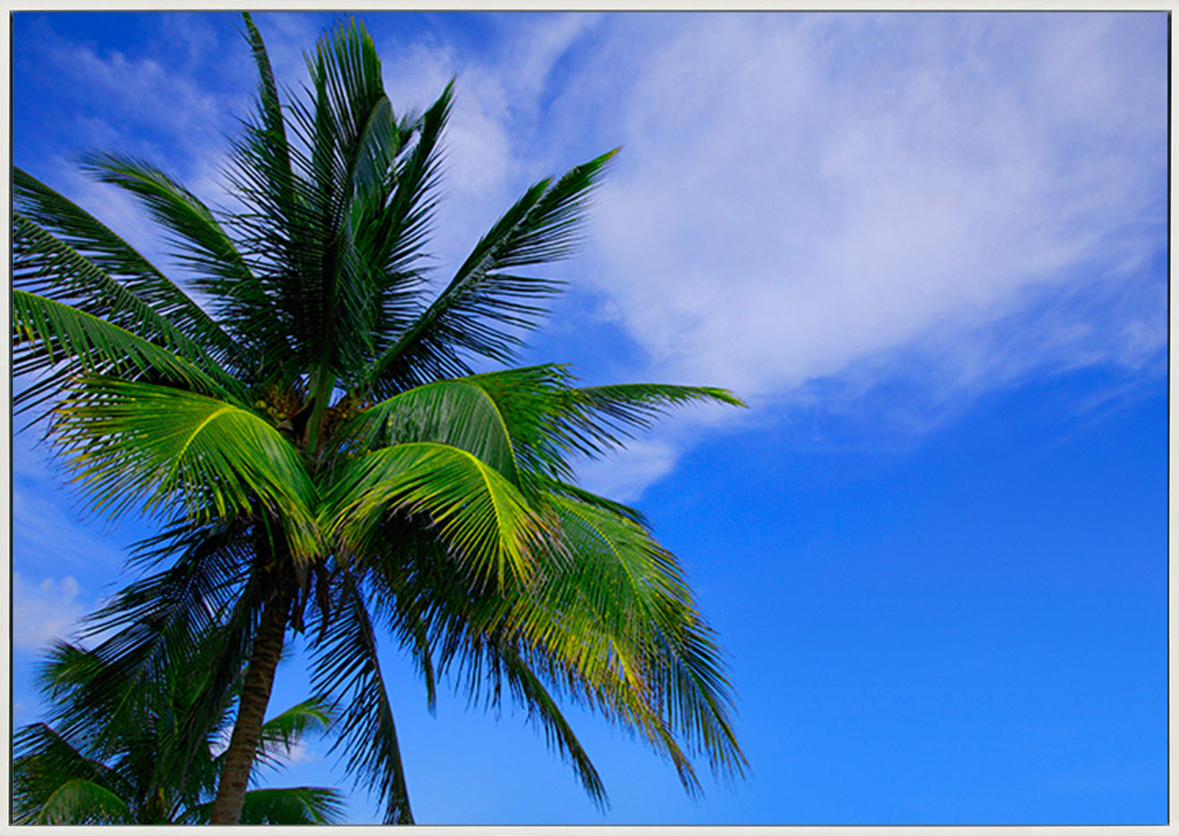 canvas_frame