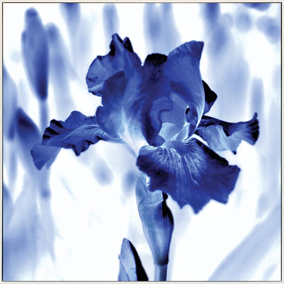 canvas_frame