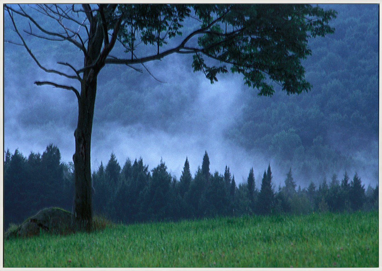 canvas_frame