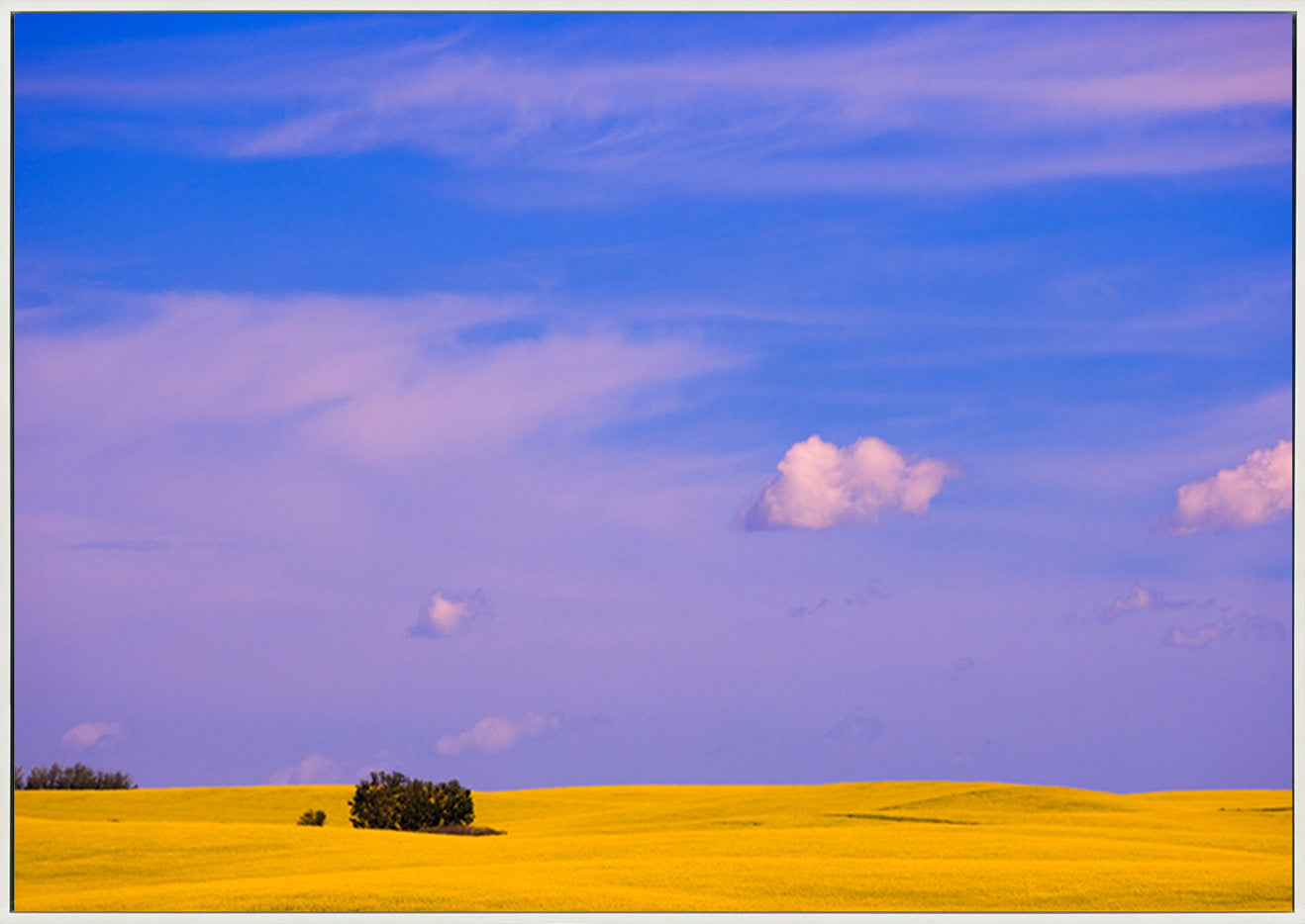 canvas_frame