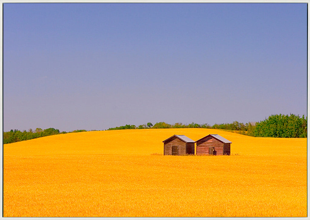 canvas_frame