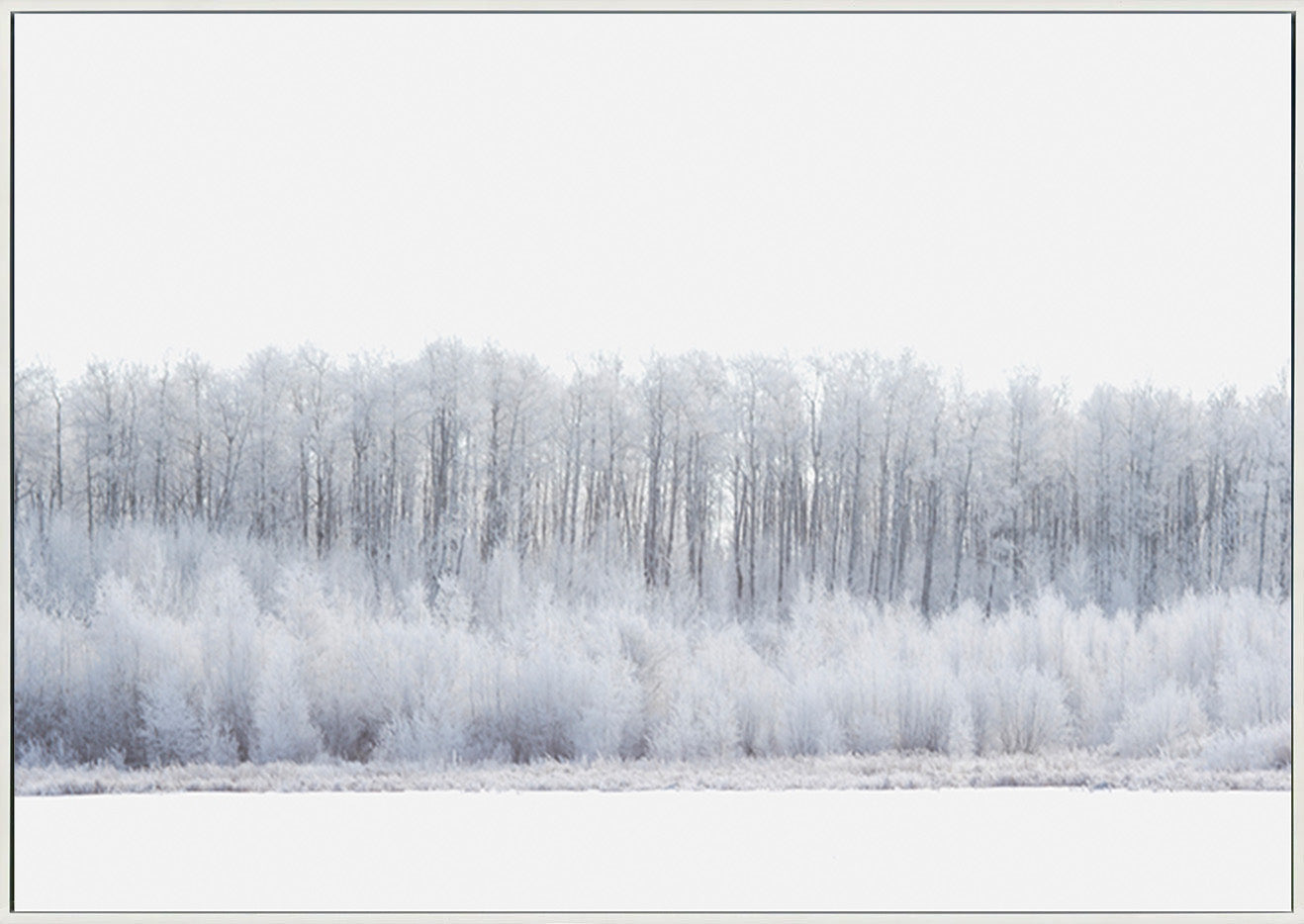 canvas_frame