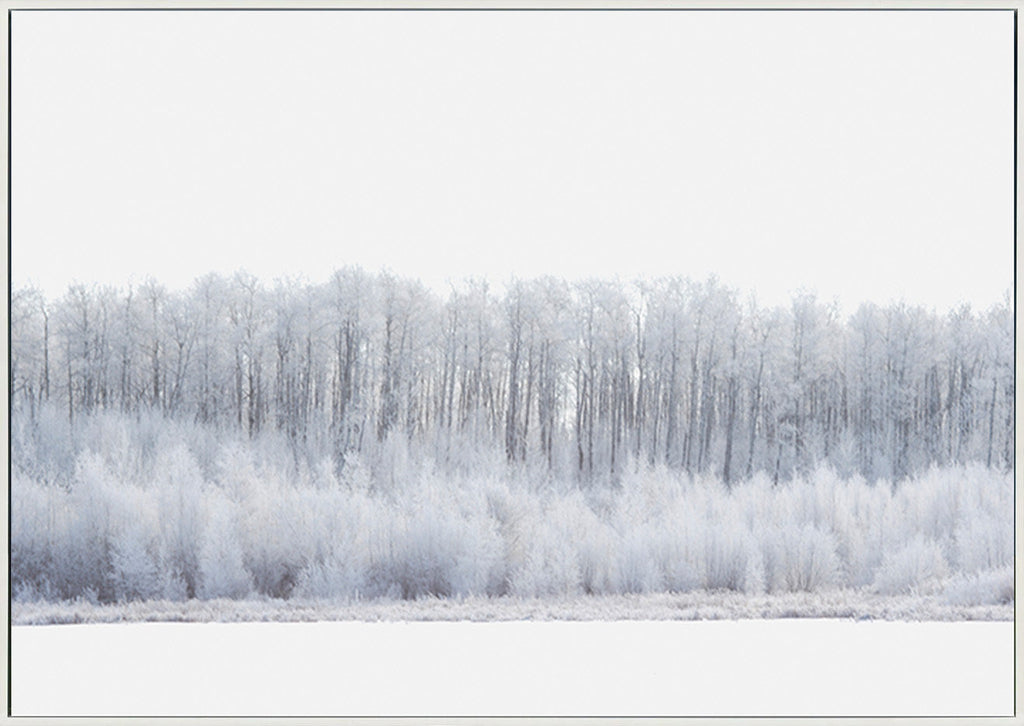 canvas_frame