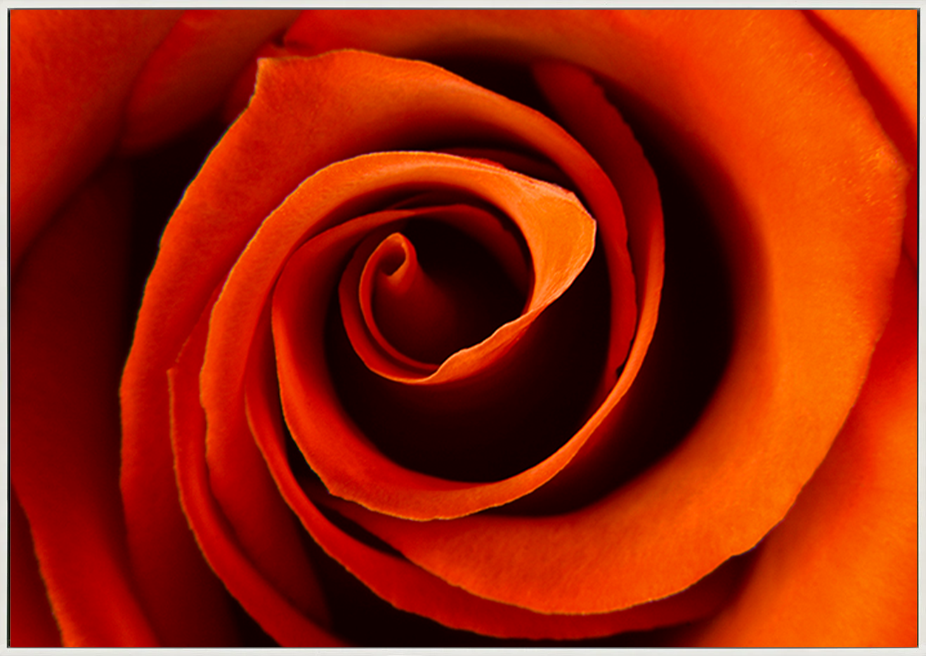 canvas_frame