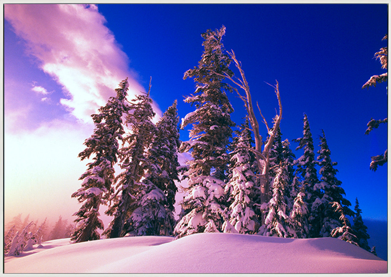 canvas_frame
